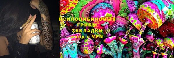 стаф Абдулино