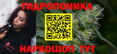 шишки Гусиноозёрск