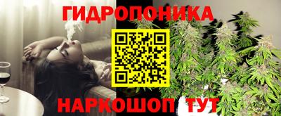 крисы Гусь-Хрустальный