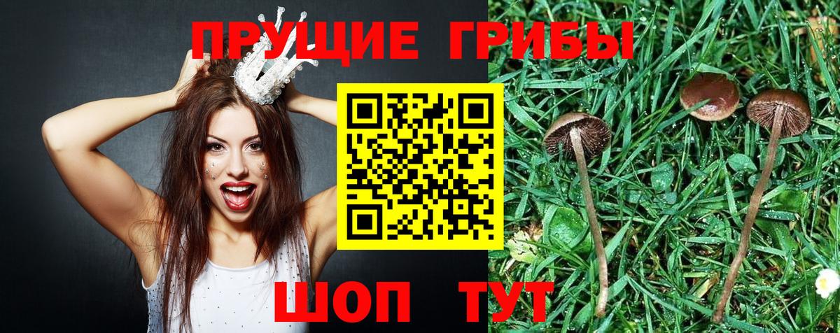 Галлюциногенные грибы мицелий Северодвинск
