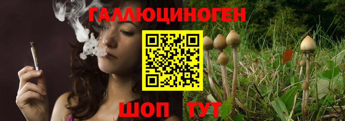 Галлюциногенные грибы Psilocybine cubensis  Вход с VPN  Северодвинск 